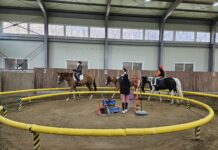 경기도, 초중고 학생 등 1만 3천 명 승마체험 지원