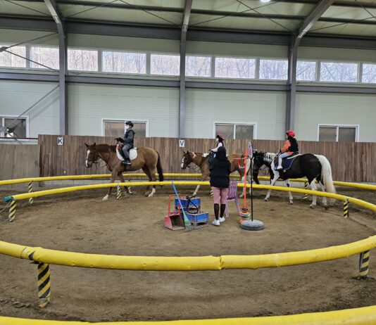 경기도, 초중고 학생 등 1만 3천 명 승마체험 지원