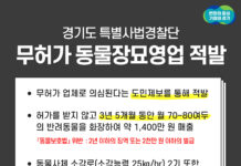 경기도 특사경, 3년 넘게 월평균 80여 마리 반려동물 화장한 불법 장묘업자 적발