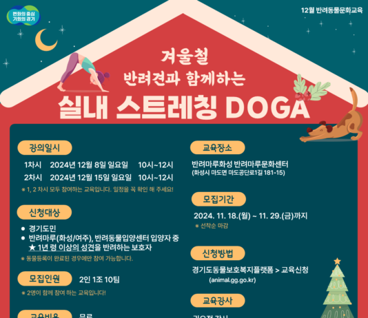 추운 겨울, 반려동물과 함께 따뜻한 문화교육 참여하세요!