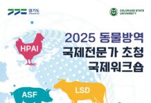 경기도, 동물방역 국제협력 시동. ‘2025년 동물방역 국제전문가 초청 국제워크숍’ 개최