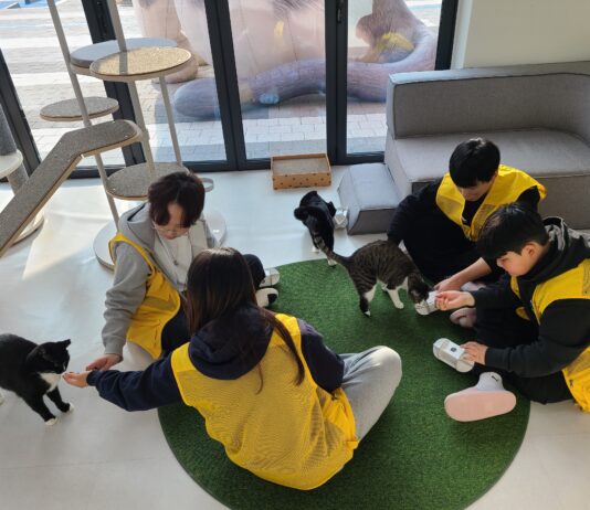 유기동물과 교감하며 배우는 생명존중…경기도, 청소년 여름방학 봉사 프로그램 마련