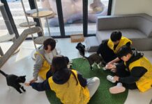 “유기동물과 따뜻한 겨울나기” 경기도, 겨울방학 청소년 자원봉사 운영