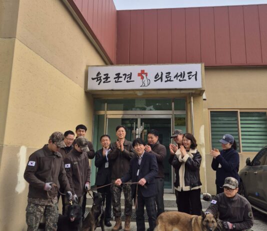 은퇴군견 3마리, 반려마루 여주에서 2회차 견생 준비 “새로운 가족을 찾아 주세요”