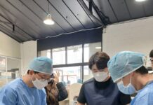 경기도, 상반기 민간시설 보호동물 717마리에 ‘찾아가는 진료 지원’ 완료